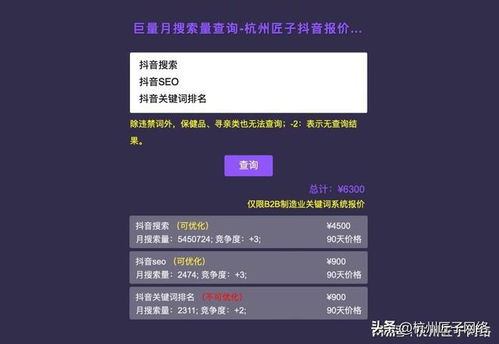 溫州抖音搜索SEO優(yōu)化推廣公司 2023年含詢價(jià)系統(tǒng)的技術(shù)推廣服務(wù)解析